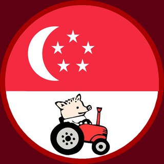 Логотип @singapore_chat - Сингапур