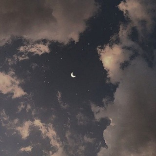 Логотип @singattamme13 - Август