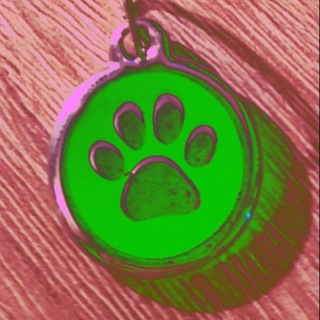 Логотип @singlepuppies - 🏁👥🐾VorGruppe SingleBörsePetPlay🐾💍🐶