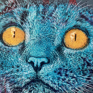 Логотип @siniykotnotes - Записки Синего Кота