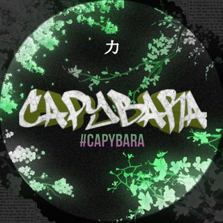 Логотип @sinlexplay - Capybara Play!