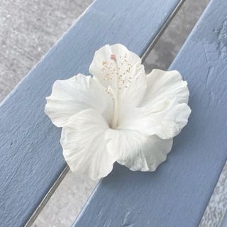 Логотип @sintem_1 - sɪɴᴛᴇᴍ ོ