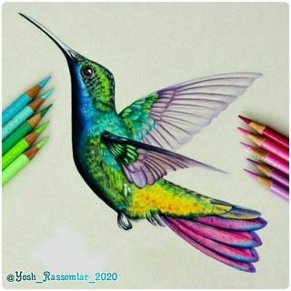 Логотип @sirdaryo_yoshlarii - _🎨QADIRDON KURSDOSHLAR🎨_