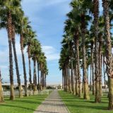 Логотип @siriusgorod - Сириус Нетипичный Город