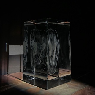 Логотип @sirmvn - ще один🤦🏼‍♂️