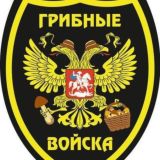 Логотип @siternovosib - Работа с подсознанием.Мухоморный трип Новосибирск.Камбо церемонии Ситтеры.