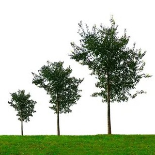 Логотип @sitnikov_on - Делюсь прибылью