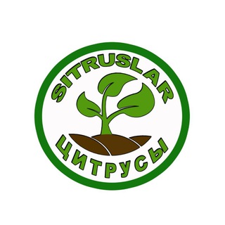 Логотип @sitruslar - 𝐒𝐈𝐓𝐑𝐔𝐒𝐋𝐀𝐑