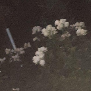 Логотип @sitsilya - Сицилия