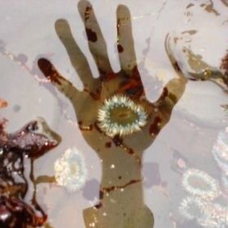 Логотип @sixeleventh - Шесть одиннадцать