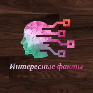 Логотип @sixinterestingfacts1 - Интересные Факты