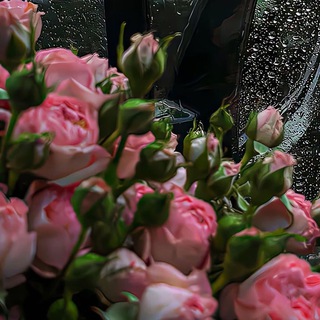 Логотип @sjhvjsks - music