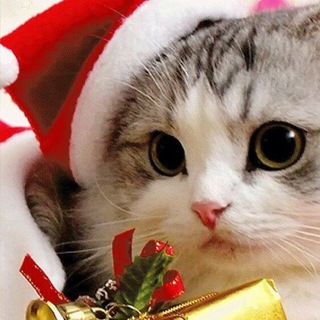 Логотип @skalyybetchat - Беседа