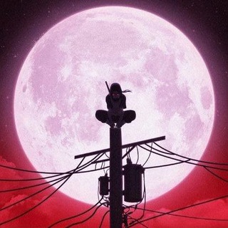 Логотип @skamlifee - Сейл