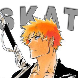 Логотип @skat0265 - SKAT