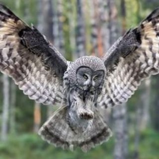 Логотип @skazkater - Сказкотерапия