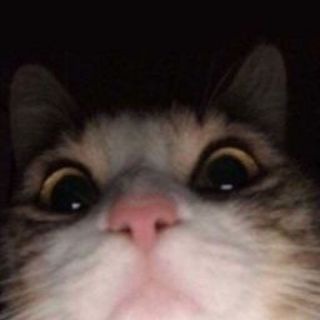 Логотип @skdksowpqp - Гифки от *данона*🦄