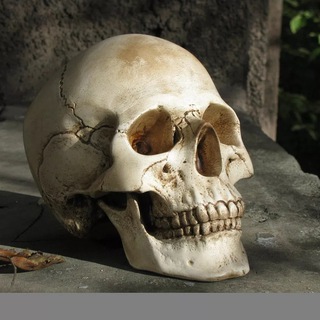 Логотип @skeletizosetii - Skeletons from Osetia