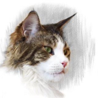 Логотип @sketches_from_reality - Нескучный Деська&Co