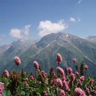 Логотип @skfooo - SKFO и k*💨