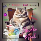 Логотип @skidki_nextchat - Skidochnyi_chat