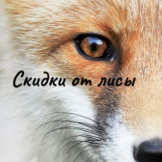 Логотип @skidki_ot_lisi - Скидки от Лисы