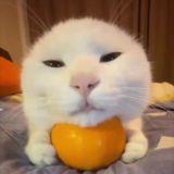 Пятерочка Скидки Акции