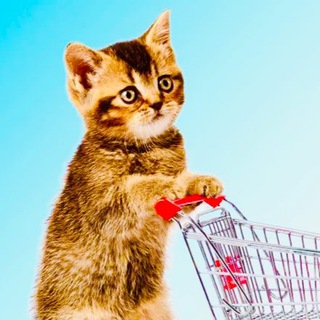 Логотип @skidon_wb - СКИДОНЧИК 🛍️ Wildberries 🟣 Ozon