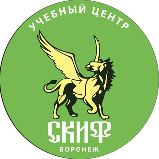 Логотип @skifvrn - Учебный центр «СКИФ»