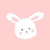 Логотип @skinnl - skinnl