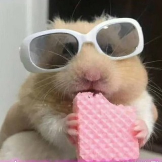 Логотип @skinstreidecs2 - CS2_epsilona|Скины|Розыгрыши|НовостиCS2