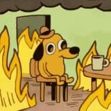 дедлайн вчера