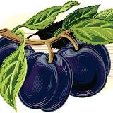 Логотип @sklad_slivy - Склад Слив links