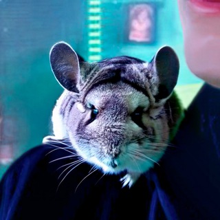 Логотип @sklyargo - SklyarGO (Olegancho)