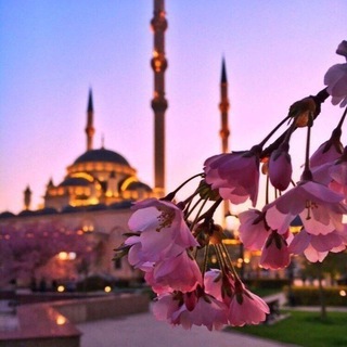 Логотип @skromnaya_channel - Скромная🌷