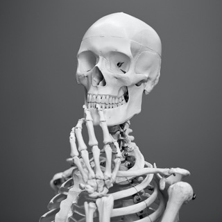 Логотип @skud_chat - Чат_Уголовная практика