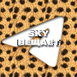 Логотип @sky_affiliate - Вещает Sky Team | Арбитраж трафика