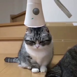 Логотип @sky_xalava - 🔥Халява от Skay 🔥 | 🔥Freebies no Skay 🔥