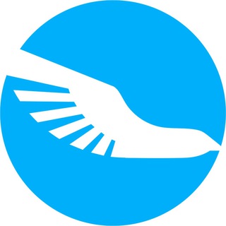 Логотип @skycargonews - Sky Cargo News