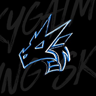 Логотип @skygaming_org - Sky Gaming