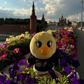 Логотип @skzqrx - жизнь ббокари