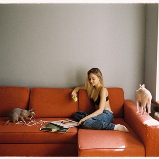 Логотип @sladkiyselection - сладкий селекшн