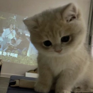 Логотип @sladkoeposlanie - сладкое послание