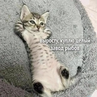 Логотип @sladkolga - Мысли Вслух