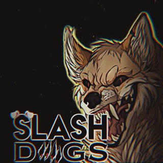 Логотип @slashoskksks - slᴀsh.ᴄhᴀnnᴇl🐾