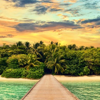 Логотип @slava_vazinkin - Slava Vazinkin