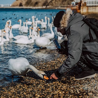 Логотип @slavarevun - Вячеслав Ревун - Фото с душой.
