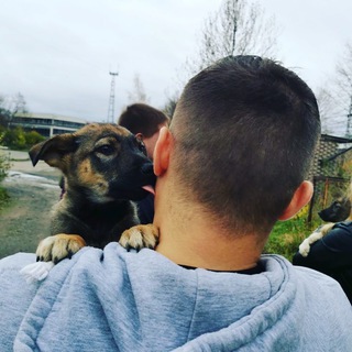 Логотип @slavashirinkin - Слава Ширинкин 🎸