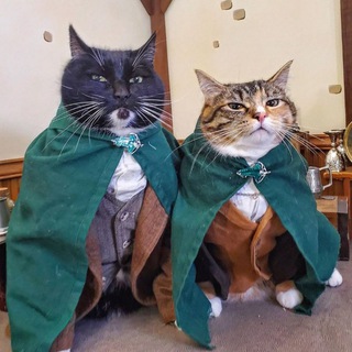 Логотип @slavyanka32 - Славянка вещает