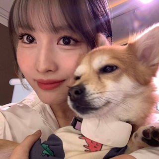 Логотип @slaykpopgames - кпоп игры 🐈